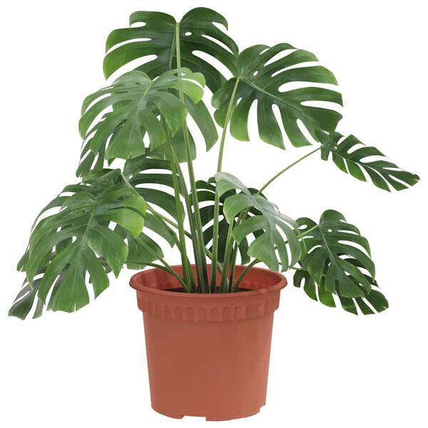 vidaXL Py&ouml;re&auml; kukkaruukku 24 pcs Tiilenpunainen &Oslash; 12,5 x 10 cm Muovi