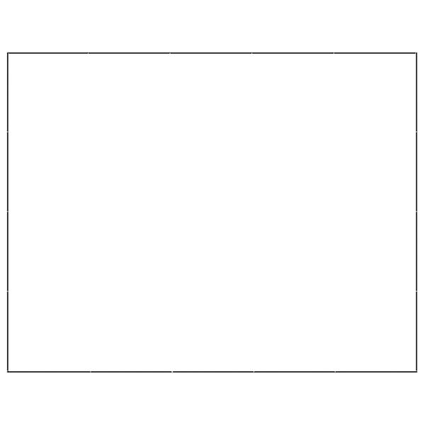 vidaXL Koiranhäkki musta 20 m² teräs