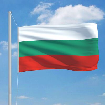 vidaXL Bulgarian lippu ja tanko alumiini 6,2 m