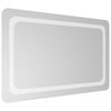 vidaXL Kylpyhuoneen LED-peili 50x80 cm