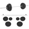 vidaXL Levypainosarja 30 kg