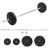 vidaXL Painonnostotanko levypainosarjalla 30 kg
