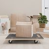 vidaXL Kuljetusalustat 2 kpl suorakaide 80x55x11,5 cm 250 kg