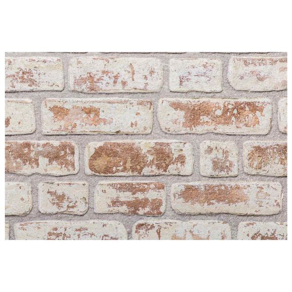 vidaXL Sein&auml;paneelit 10 pcs Punainen ja valkoinen 100 x 50 cm