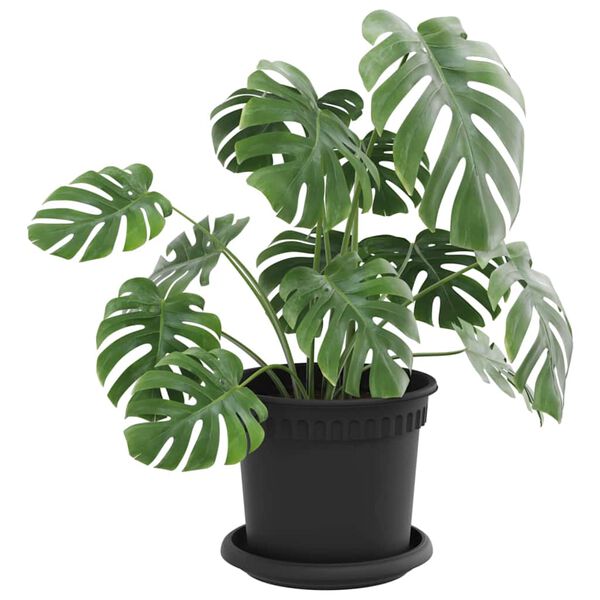 N&auml;ytet&auml;&auml;n tuotekuva 3 / 12