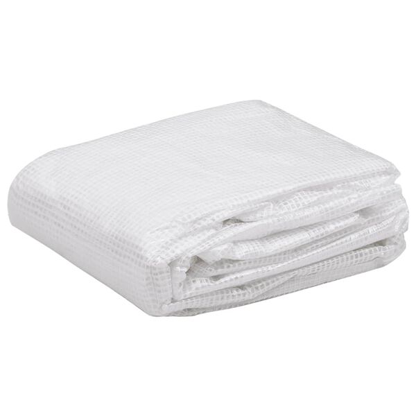 vidaXL Kasvihuoneen vaihtokate (4,5 m²) 3x1,5x2 m läpinäkyvä