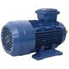 vidaXL 3-vaiheinen s&auml;hk&ouml;moottori alumiini 2,2kW/3HP 2-napainen 2840RPM