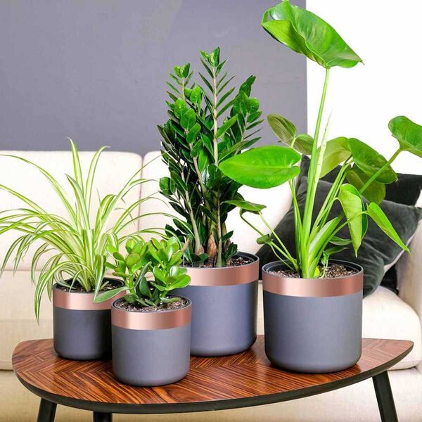 vidaXL Kupariteippi Kupari 2000 x 5 cm Kupari