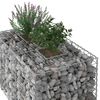 vidaXL Gabion Kohotettu Peti Hopea 100 x 60 x 55 cm Galvanoitu ter&auml;s