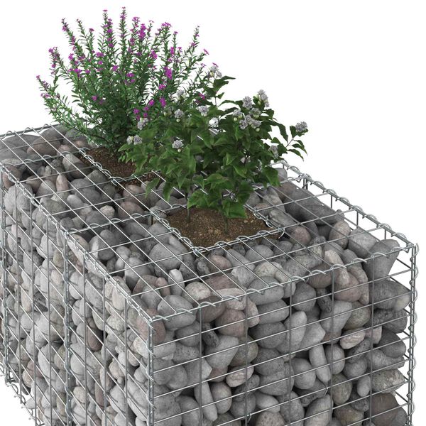 vidaXL Gabion Kohotettu Peti Hopea 100 x 60 x 55 cm Galvanoitu ter&auml;s