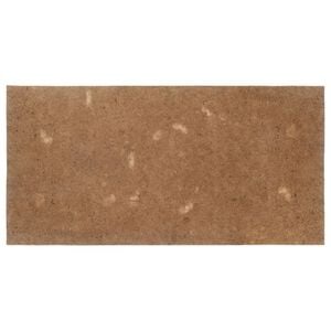 vidaXL Patjanpehmuste 90x200 cm kookoskuitu