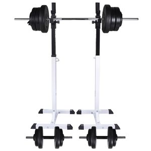 vidaXL Kyykkyteline painotangolla + levy- ja k&auml;sipainosarja 60,5 kg