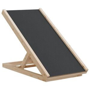 vidaXL Koiran ramppi harmaa 70x35 cm t&auml;ysi kuusi