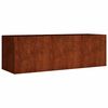 vidaXL Korotettu kukkalaatikko 120x40x40 cm Corten ter&auml;s