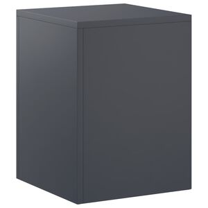 vidaXL Kasviteline Antrasiitti 30 x 30 x 40 cm Ruostumaton ter&auml;s