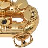 vidaXL Alttosaksofoni Keltainen Messinki Kultamaalilla Eb