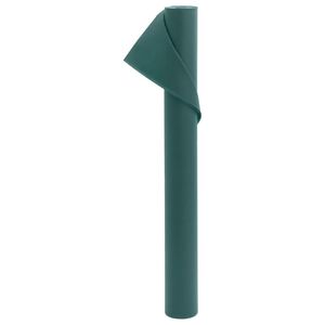 vidaXL Kasvien suojakangas 70 g/m&sup2; 10x1,6 m
