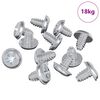 vidaXL Lukitusruuvit 19149 kpl Hopea Rauta