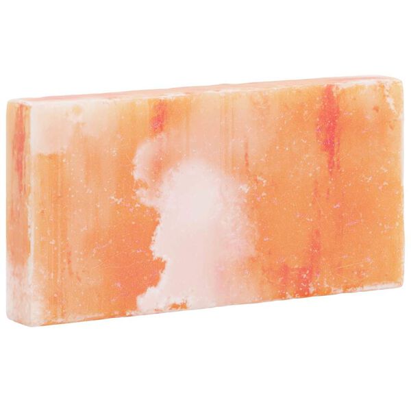 vidaXL Suolakivet 10 pcs Pinkki 20 x 2,5 x 10 cm Suolakivimateriaali