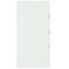 vidaXL Sivupaneeli ovikatokselle l&auml;pin&auml;kyv&auml; 50x100 cm karkaistu lasi