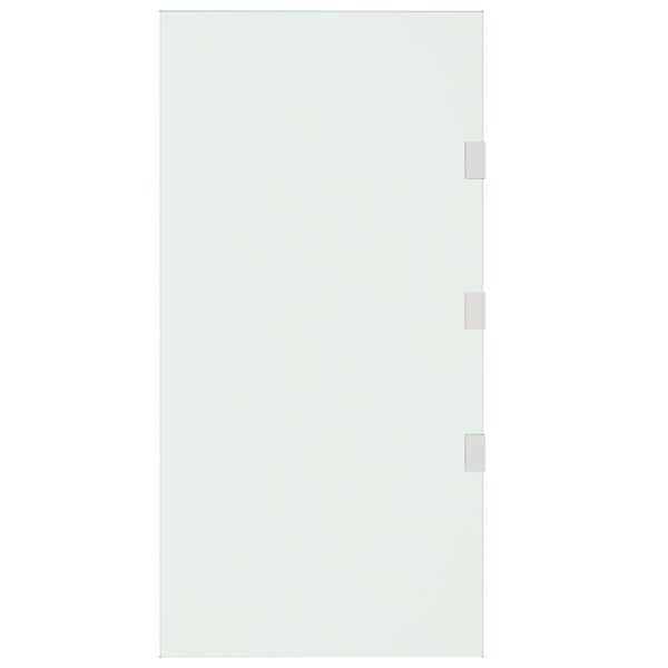 vidaXL Sivupaneeli ovikatokselle l&auml;pin&auml;kyv&auml; 50x100 cm karkaistu lasi