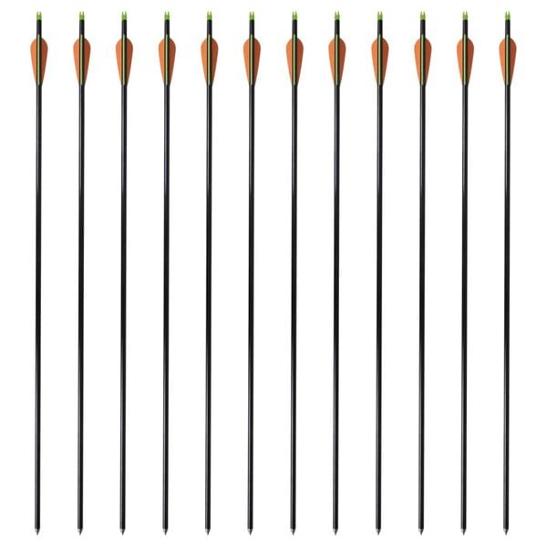 Standardi yhdistelmäjousen nuolet 30" 0,8 cm Lasikuitu 12 kpl