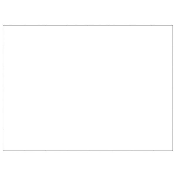 vidaXL Koiranhäkki hopea 48 m² teräs