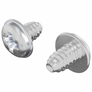 vidaXL Lukitusruuvit 2 kpl Hopea M4 x 5 mm Rauta