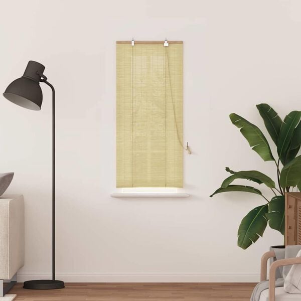 vidaXL Rullaverho verhoilla Luonto 60 x 160 cm Bambu