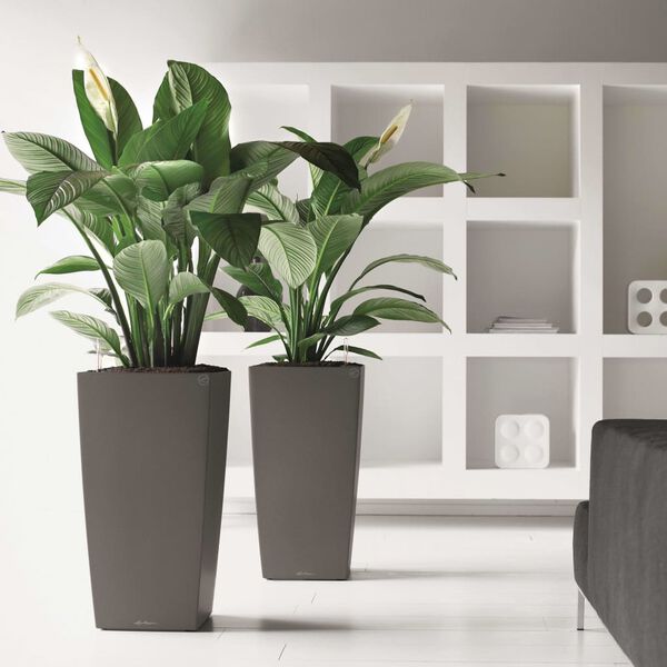 LECHUZA Kukkalaatikko Cubico 30 ALL-IN-ONE hiili