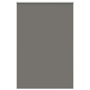 vidaXL Rullaverho Blackout harmaa 165x210 cm Kankaan leveys 161,6 cm