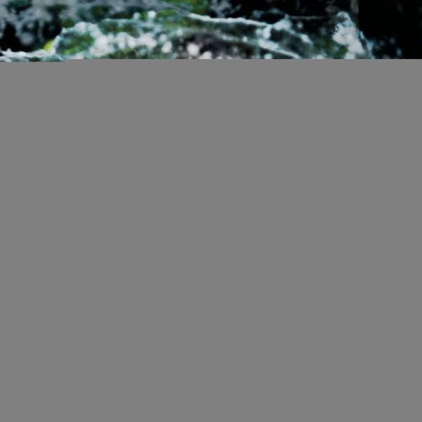 Intex LED Allas Suihkutin PP 28089