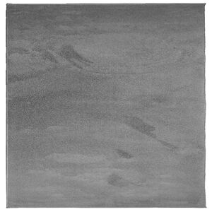 vidaXL Matto OVIEDO lyhytnukkainen antrasiitti 120x120 cm