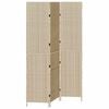 vidaXL Huonejakaja Beige 146 x 200 cm polyrottinki