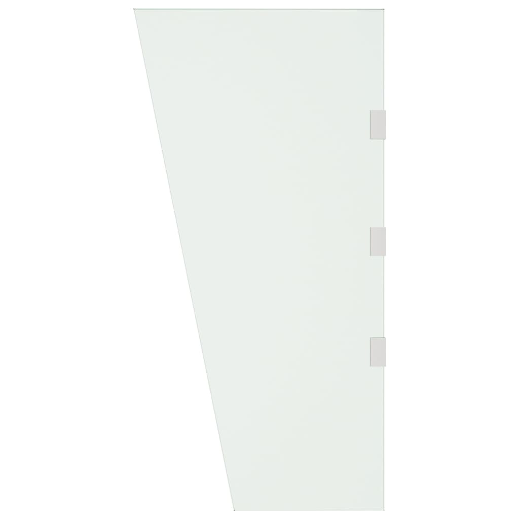 vidaXL Sivupaneeli ovikatokselle läpinäkyvä 50x100 cm karkaistu lasi