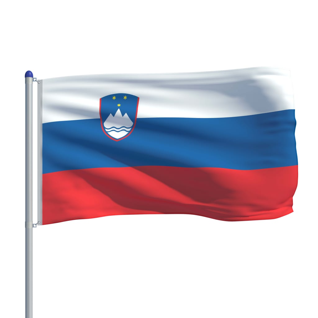 vidaXL Slovenian lippu ja tanko alumiini 6 m
