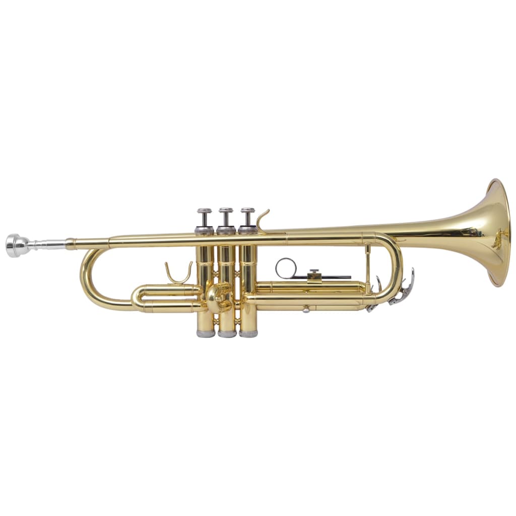vidaXL Trumpetti Keltainen Messinki Kultamaalilla Bb