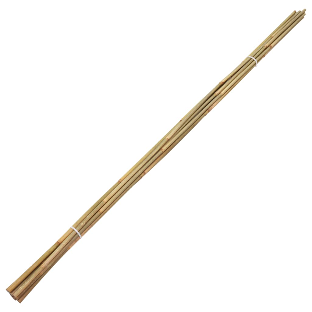 vidaXL Puutarhan bambukepit 50 kpl 150 cm