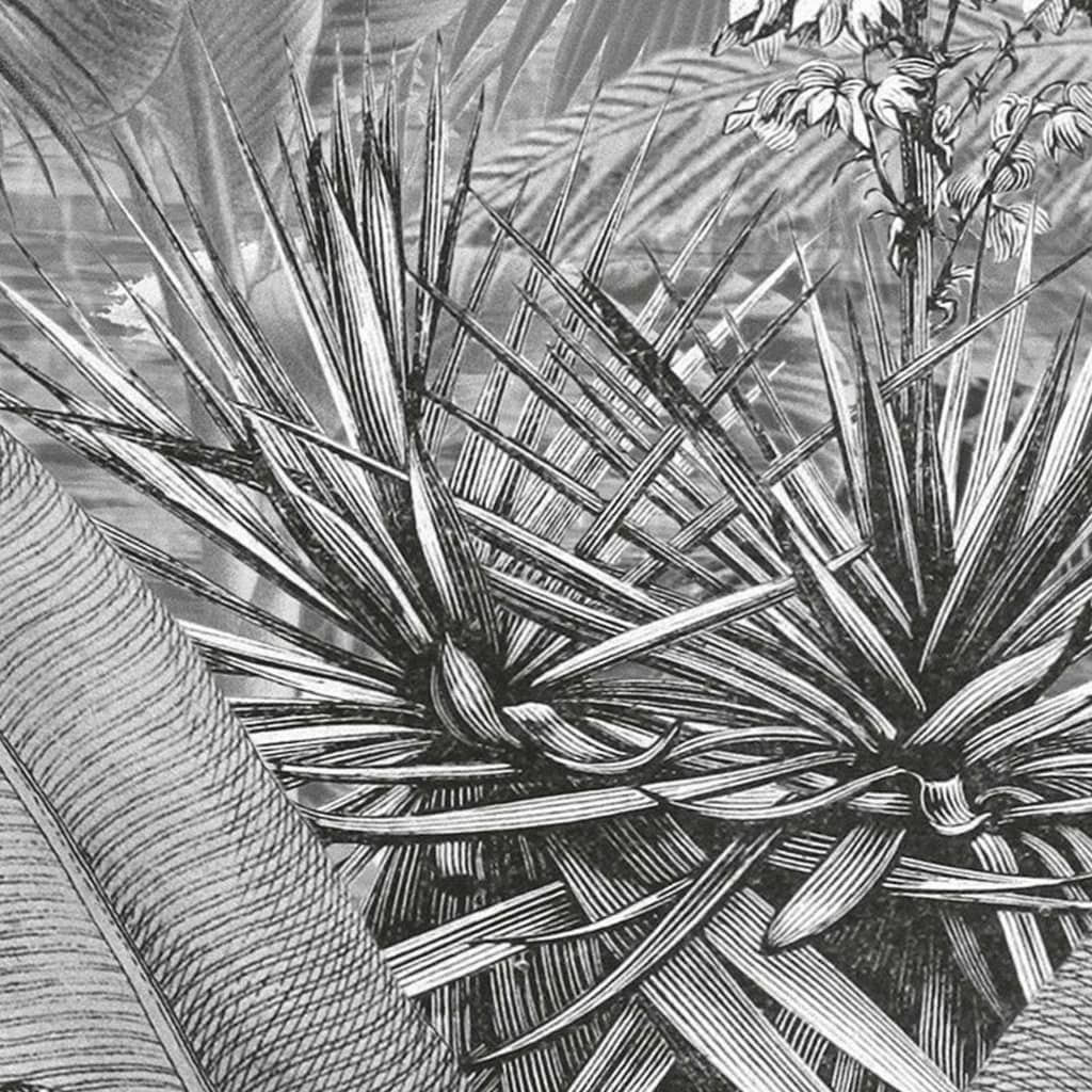 Komar Valokuvaseinämaalaus Amazonia mustavalkoinen 400x250 cm