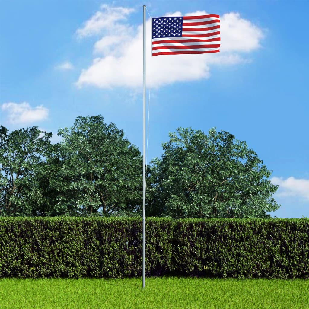 vidaXL Yhdysvaltojen lippu ja tanko alumiini 4 m