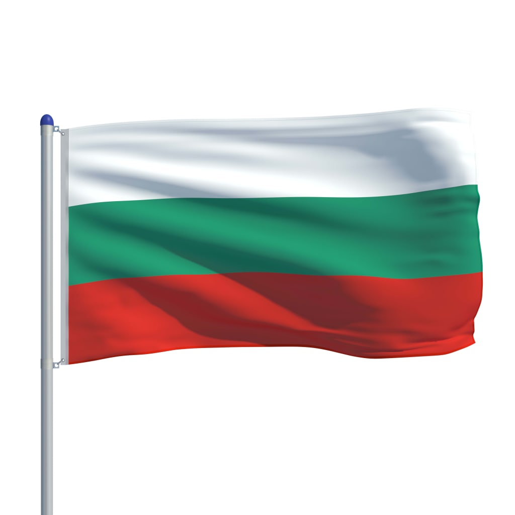 vidaXL Bulgarian lippu ja tanko alumiini 6 m