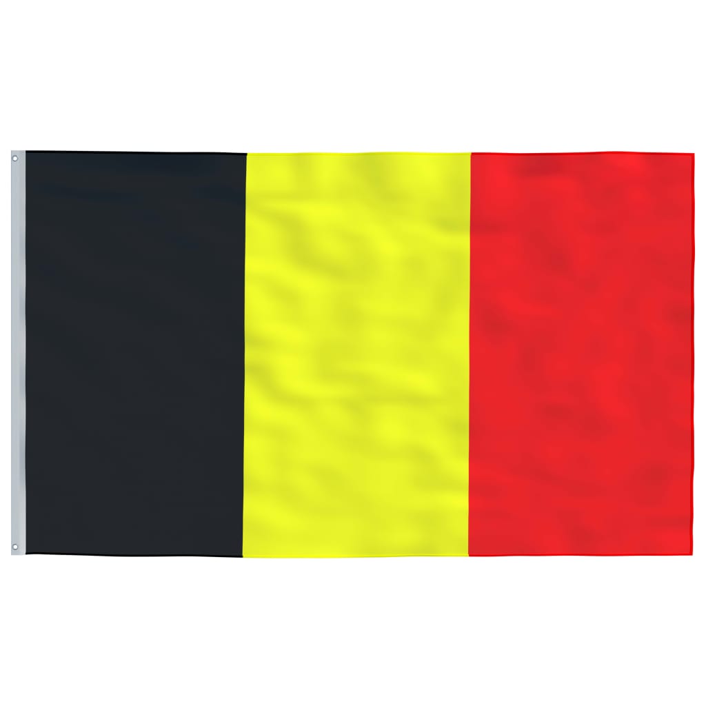 vidaXL Belgian lippu ja lipputanko 6,23 m alumiini