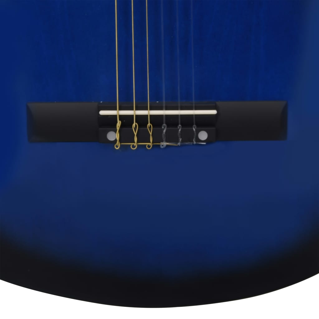 vidaXL 12-osainen Western-kitarasarja EQ:lla, 6-kielinen, sininen