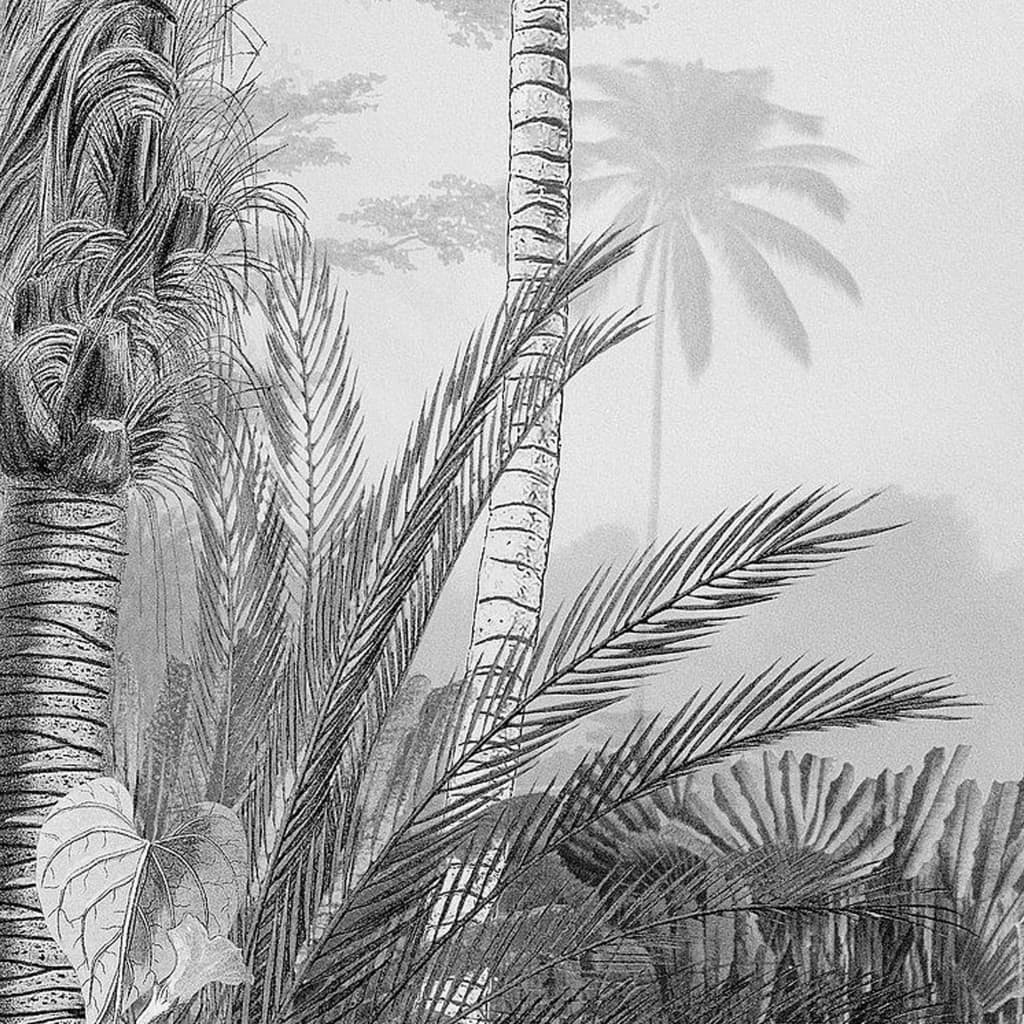 Komar Valokuvaseinämaalaus Lac Tropical Black & White 200x270 cm