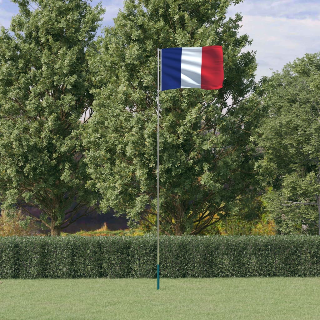 vidaXL Ranskan lippu ja lipputanko 5,55 m alumiini