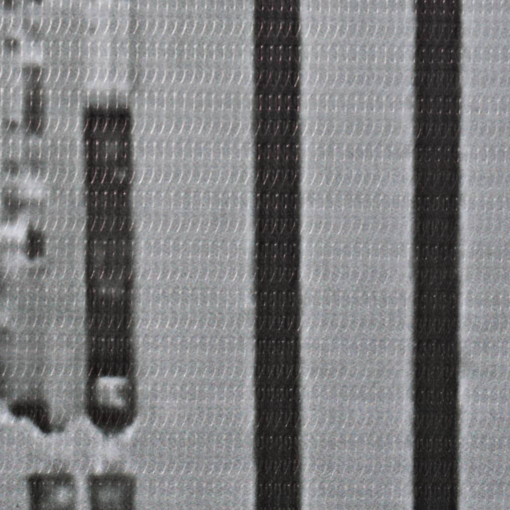 vidaXL Taitettava tilanjakaja 120x170 cm New Yorkin päivämaisema