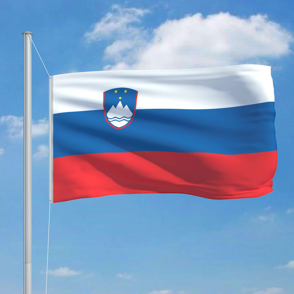 vidaXL Slovenian lippu ja tanko alumiini 6,2 m