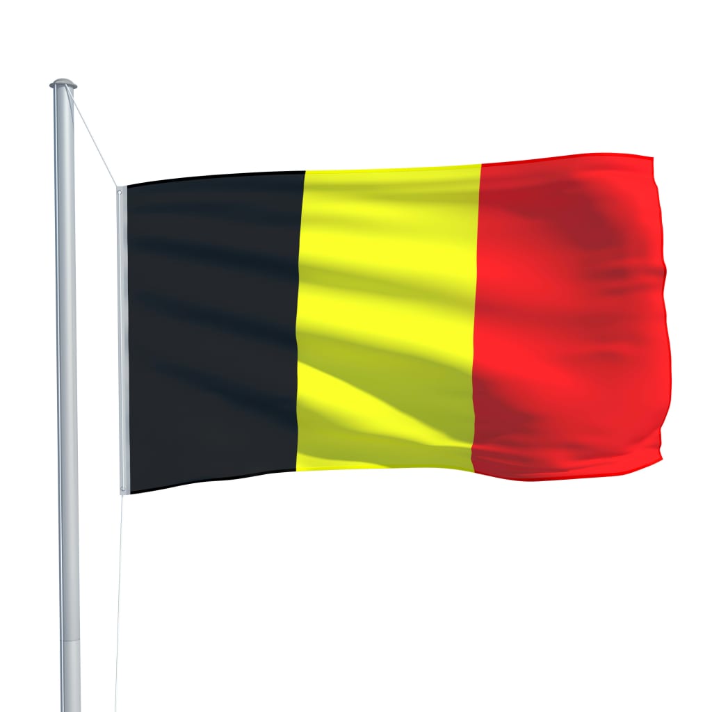 vidaXL Belgian lippu ja tanko alumiini 6,2 m