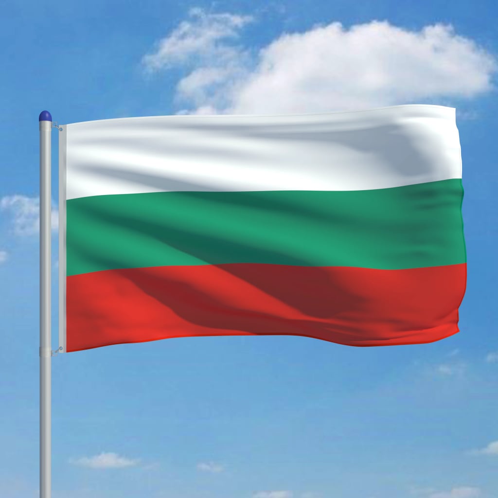 vidaXL Bulgarian lippu ja tanko alumiini 6 m