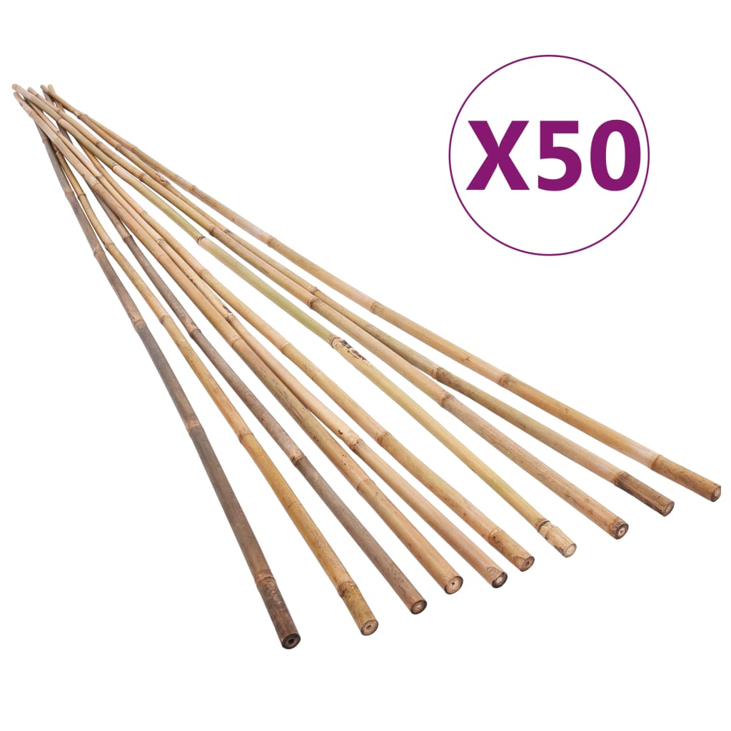 vidaXL Puutarhan bambukepit 50 kpl 170 cm